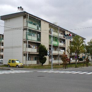 集合住宅への闇金チラシ投稿